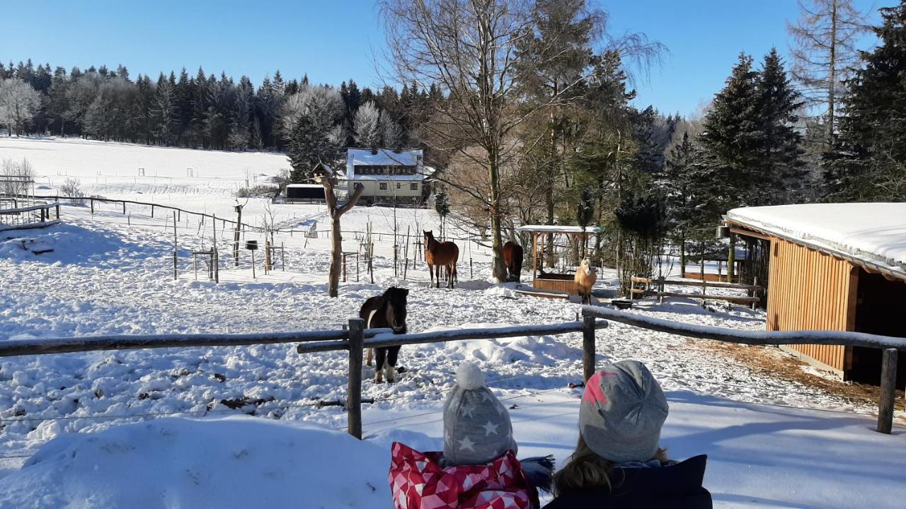 Sporthütten Nassau Ihr zentrales Domizil an der Blockline Rechenberg-Bienenmühle Exterior foto